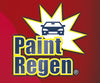 Paint Regen 2x1 a 39,99€
