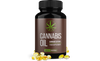 Cannabis Oil