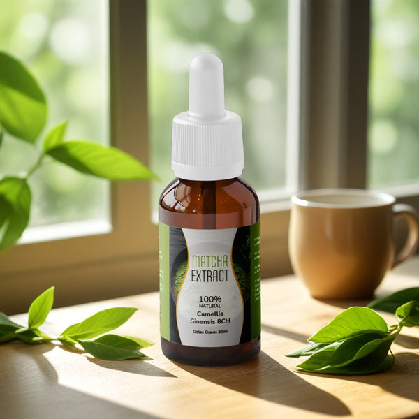 Matcha Extract
