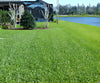 Grass Seed Mat a 59,99€
